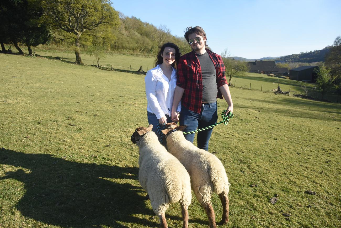 Meet Our Sheep | Duffryn Sheep Walking in Caerphilly, Wales gallery image 5